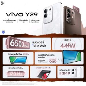 202510240923560.jpg - ViVo รุ่น y-29 | https://farmfhunkhaochangum.com