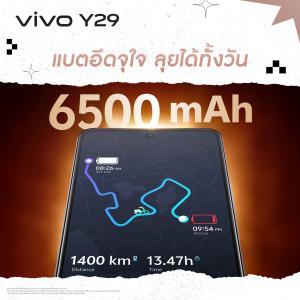 202510240935073.jpg - ViVo รุ่น y-29 | https://farmfhunkhaochangum.com